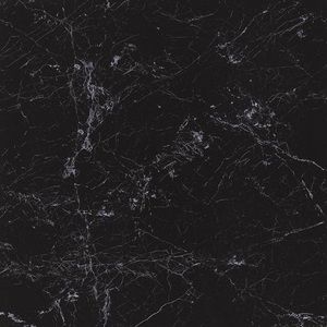 Meet your Posher, Raven